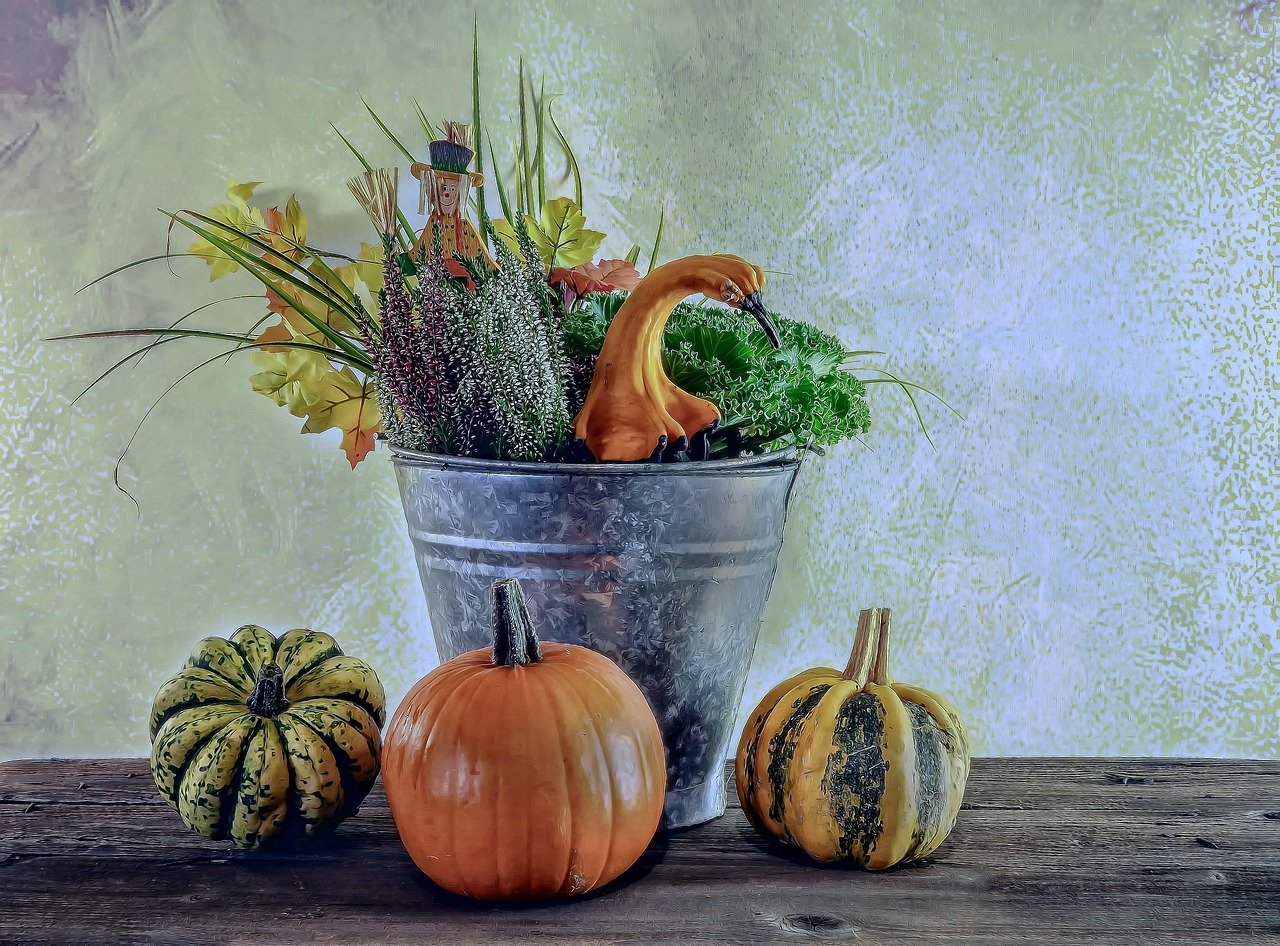 Fall Vibes Ideas You Will Love